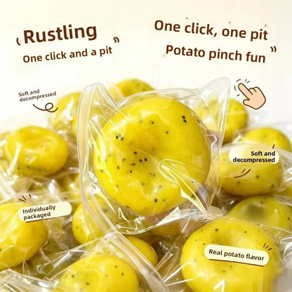 Squishy Kiwi Réaliste